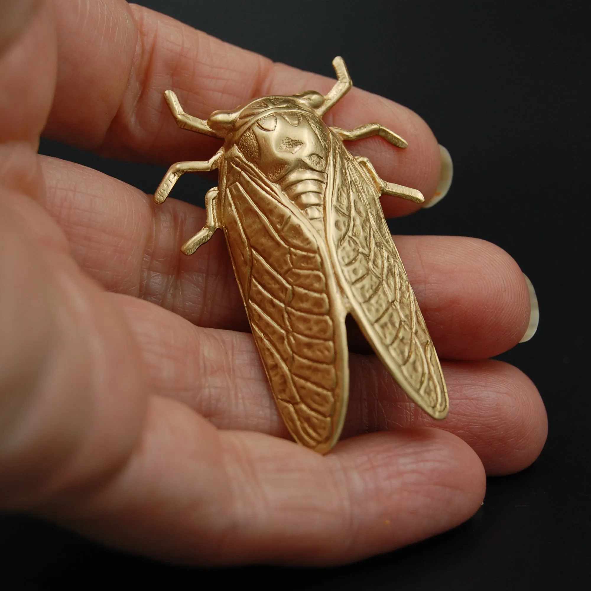 Brass Cicada Insect Pin or Brooch