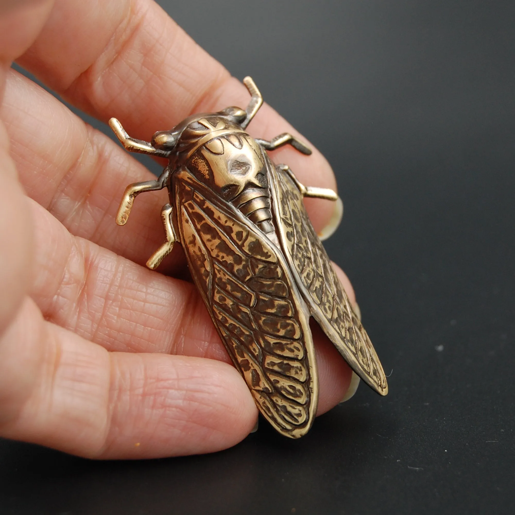 Brass Cicada Insect Pin or Brooch